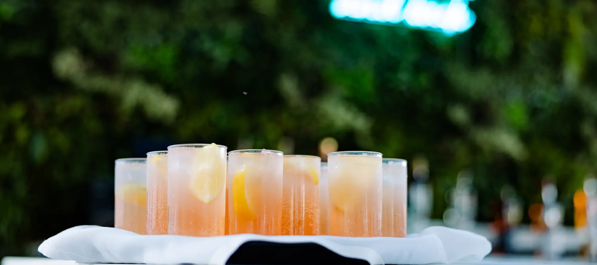 ICONA Avalon Wedding